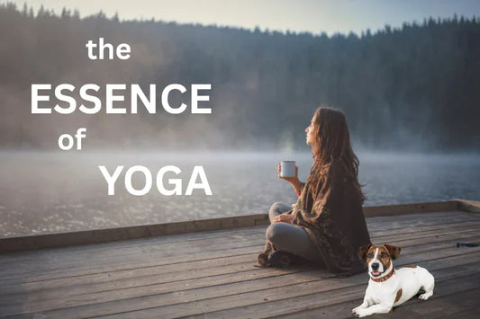 The Essence of Yoga: Coming Home to Yourself