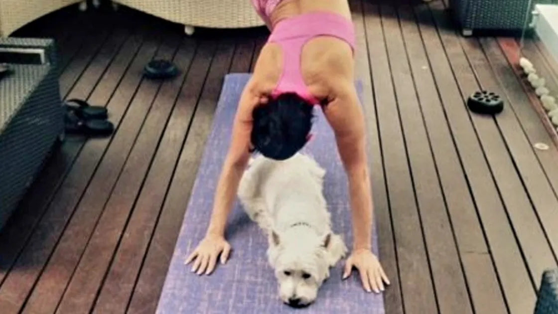 Connie from Ramro Yoga Wear in a playful yoga moment with her Westie, holding Downward Dog pose while her dog relaxes on the mat. A joyful snapshot that captures the fun, connection, and lighthearted spirit of the brand.