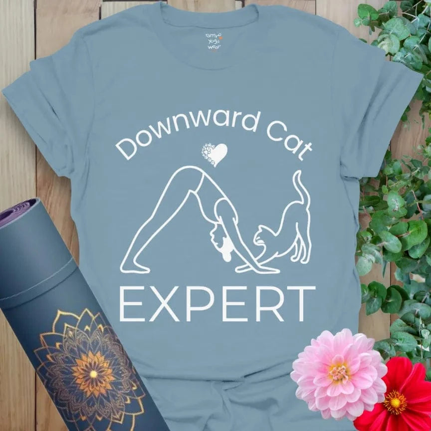 Stone Blue Cat Expert T-Shirt featuring a yoga cat theme, yogi in pose with cat stretching alongside, phrase "Downward Cat Expert."