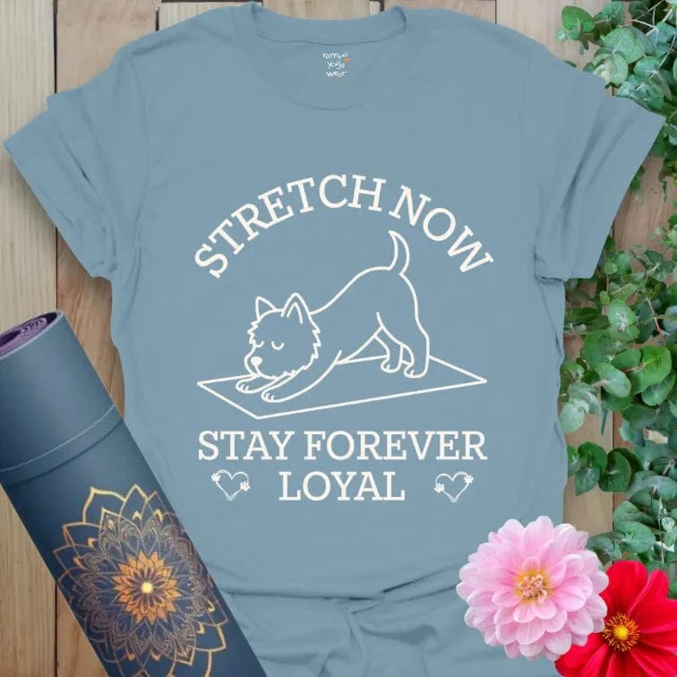 Stone Blue Stay T-Shirt showcasing yoga dog pose and soulful “Stay Forever Loyal” mantra.