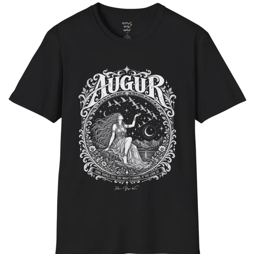 A short sleeved tee called the Augur T-Shirt, flat lay and a soft cotton shirt. Simply says, Some things tell you what's coming, if you look up. Design highlights an ornate engraved circular frame of florals and filigree around a long-haired figure in a flowing gown seated on a rocky ledge, one hand raised toward a flock of birds crossing a starry sky, with crescent moons, mountains and still water behind and Augur in decorative lettering across the top. Color is Black. 