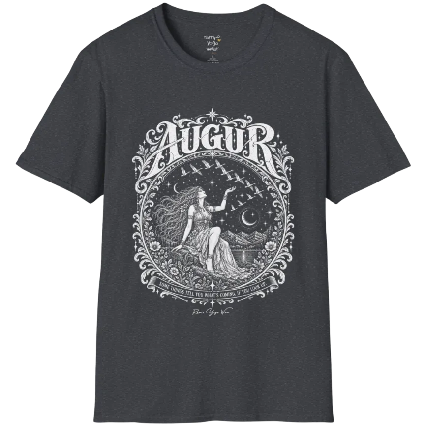 A short sleeved tee called the Augur T-Shirt, flat lay and a soft cotton blend shirt. Simply says, Some things tell you what's coming, if you look up. Design highlights an ornate engraved circular frame of florals and filigree around a long-haired figure in a flowing gown seated on a rocky ledge, one hand raised toward a flock of birds crossing a starry sky, with crescent moons, mountains and still water behind and Augur in decorative lettering across the top. Color is Dark Heather Grey. 