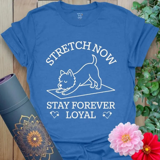 Heather Royal Stay T-Shirt showing dog on yoga mat with “Stretch Now, Stay Forever Loyal” text.